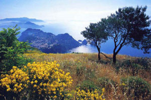 Monte Solaro in Capri